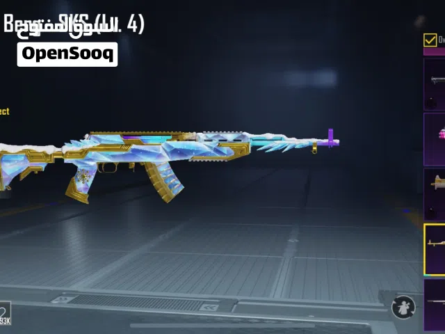 Pubg Accounts and Characters for Sale in Zarqa