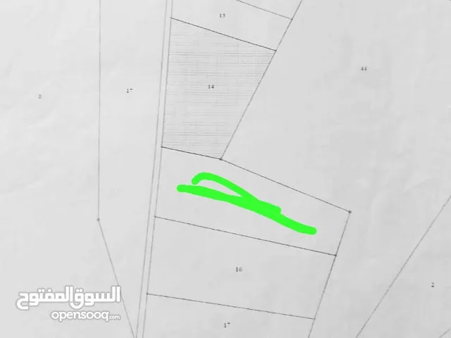 قطعة ارض 11دونم