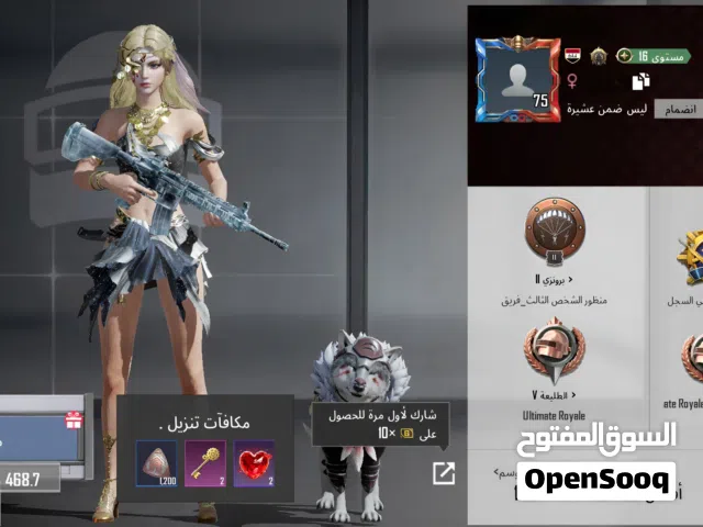 حسابين ببجي للبيع