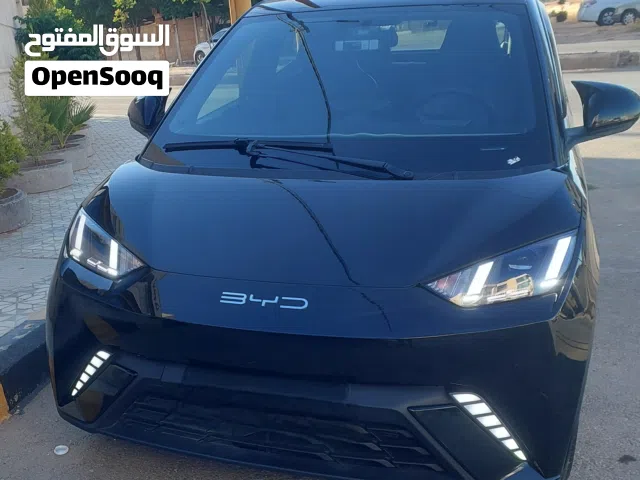 2023 بي واي دي سيجول