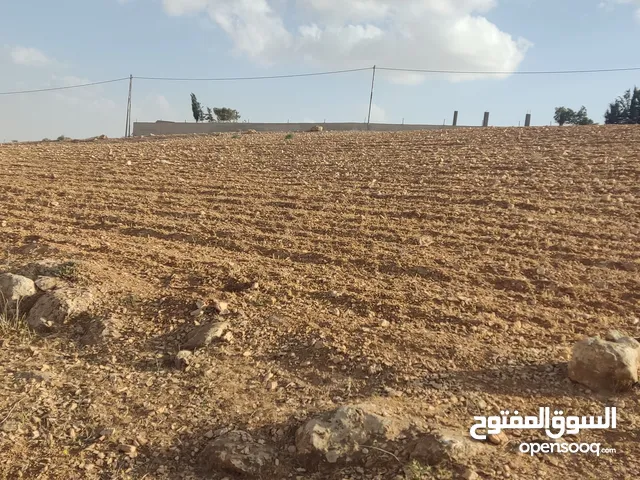Farm Land for Sale in Mafraq Hayyan Al Moshref