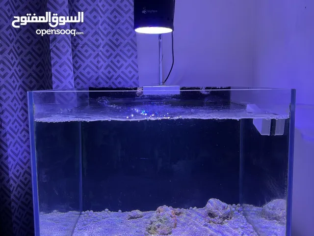 Aquarium (Marine & freshwater)