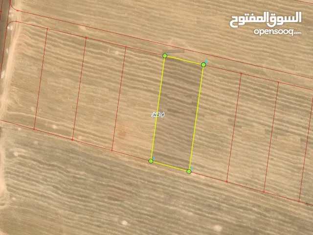 Farm Land for Sale in Irbid Other