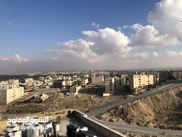 250 m2 4 Bedrooms Apartments for Sale in Zarqa Al Zarqa Al Jadeedeh