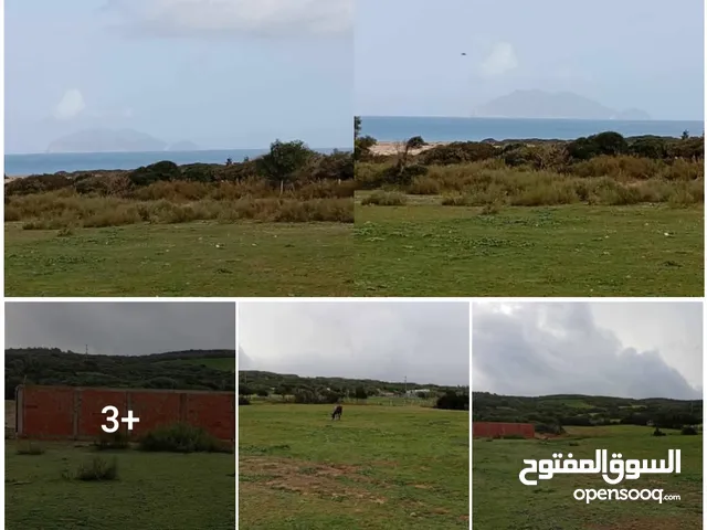 Mixed Use Land for Sale in Tunis Other