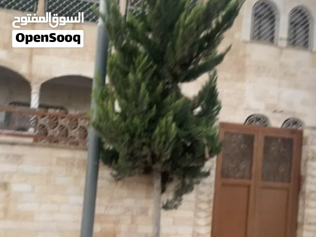 220 m2 3 Bedrooms Townhouse for Rent in Amman Sahab