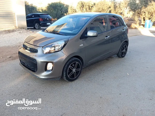 New Kia Picanto in Jenin