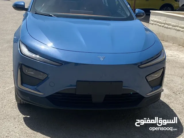 New Neta Other in Irbid