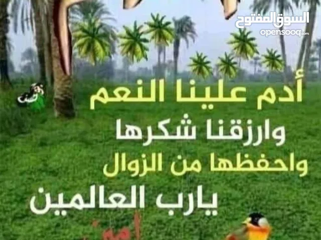 محل تجاري للبيع