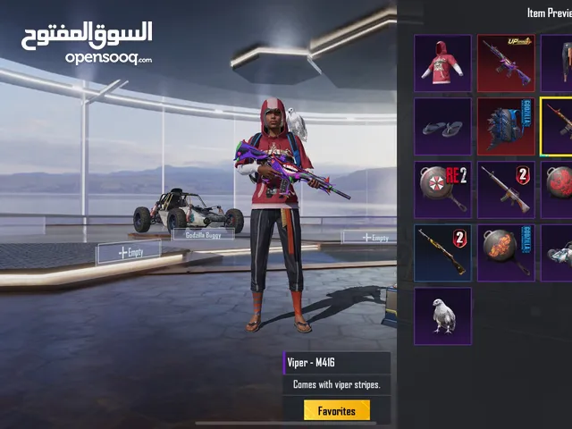 Pubg Accounts and Characters for Sale in Abu Dhabi