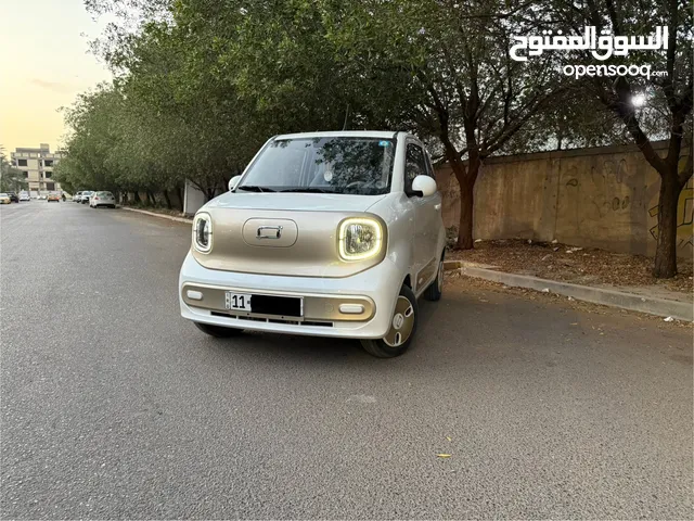بستون بوني