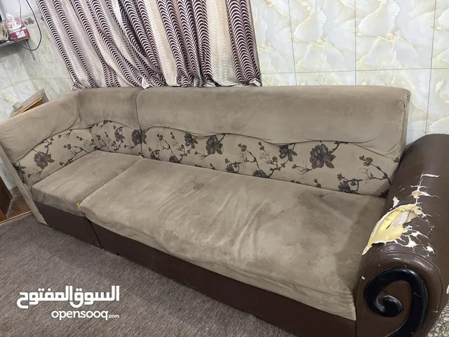 تخم قنفات للبيع