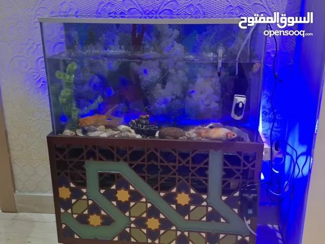 بيع حوض السمك