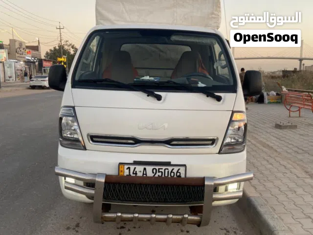 بنكو حمل فحل مفتوح كير عادي 2023