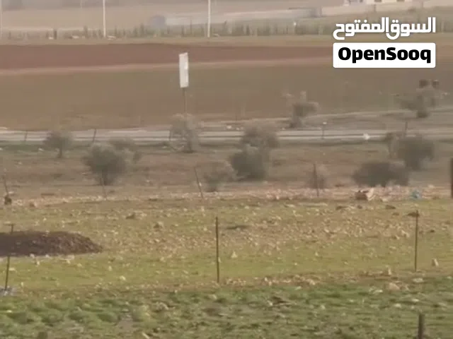 Farm Land for Sale in Mafraq Rhab