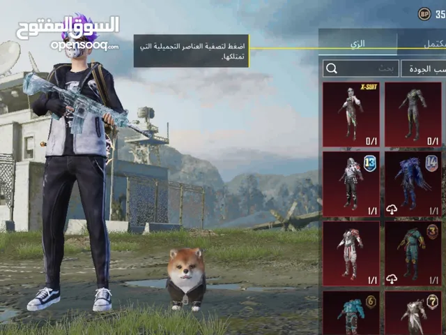 Pubg Accounts and Characters for Sale in New Valley