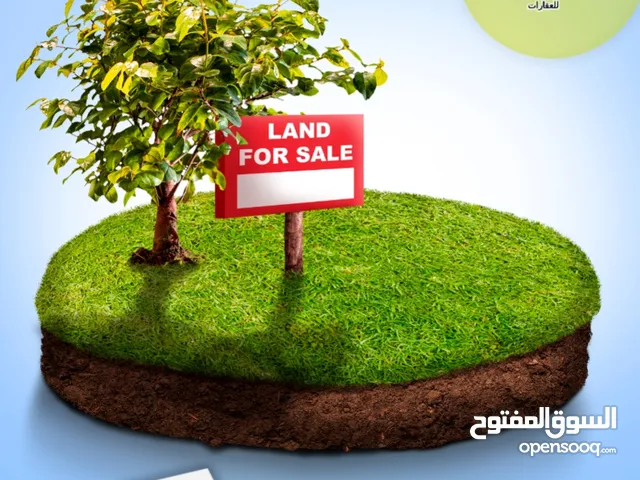 فرصة ذهبية – قطعة أرض مميزة للبيع في النصارية (من جهة نابلس)