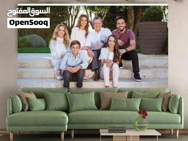 برادي زيبرا تركي وكوري مكفول