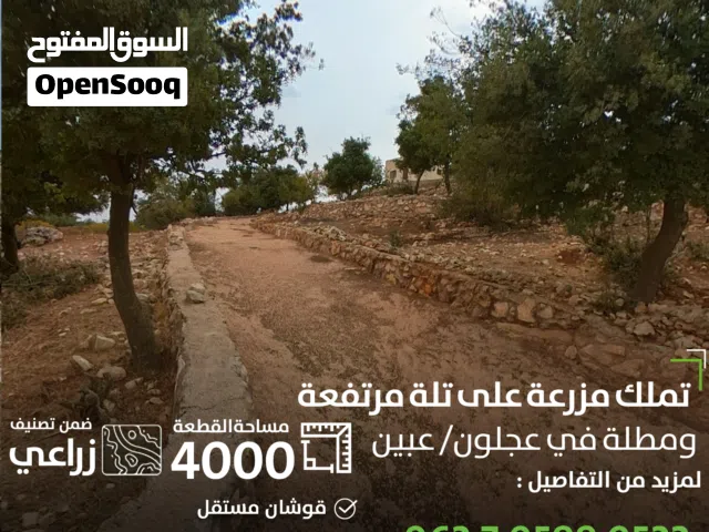 2 Bedrooms Farms for Sale in Ajloun I'bbeen