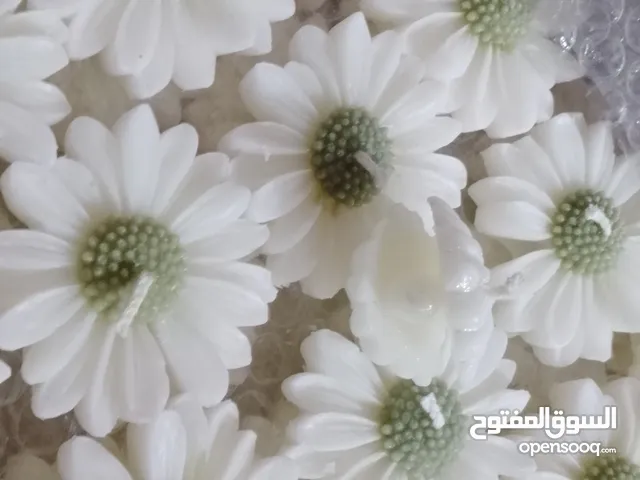 توزيعات محرم وهدايات مناسبات واعياد واكسسوارات