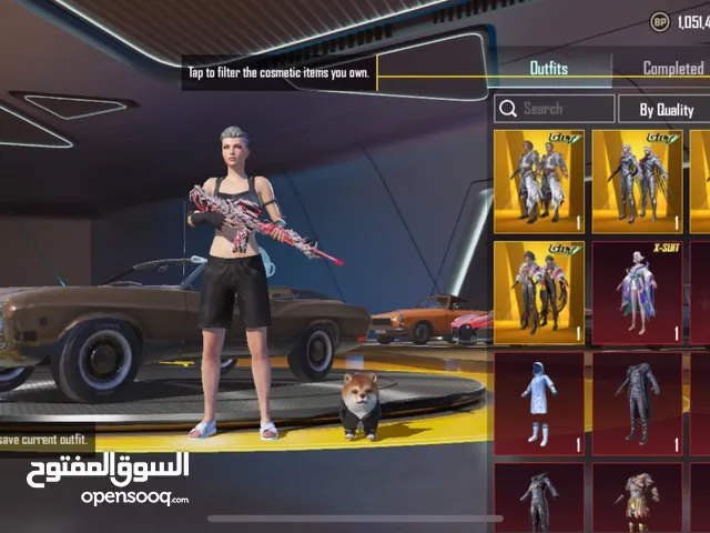 Pubg Accounts and Characters for Sale in Ramtha