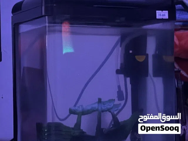 للبيع حوض سمك نضيف استخدام تقريبا 5 ايام وي اغراضه كل شي ويها داخل الحوض في قارب زين حق سمك وي فلتر