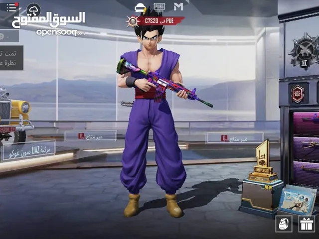 Pubg Accounts and Characters for Sale in Al Karak