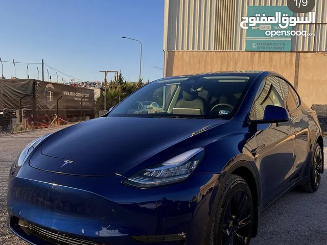 Tesla model y 2021 dual motor