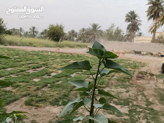 نصب مرشات حدائق وملاعب