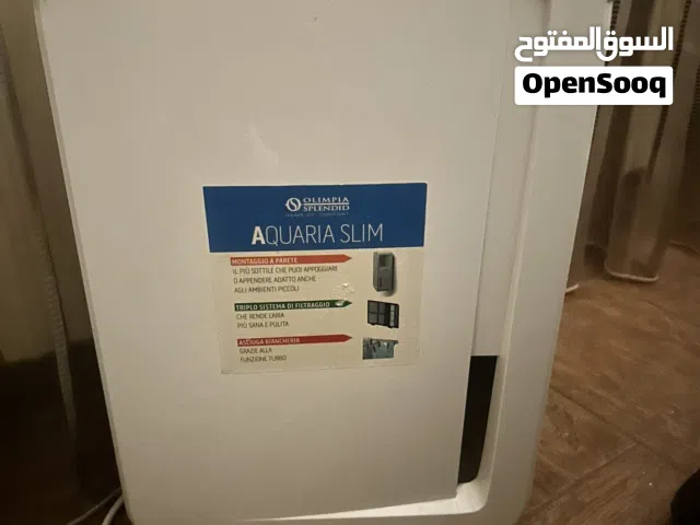 Olimpia Splendid للبيع