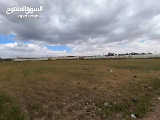 Land For Sale In Alkhadra'a ( Property 42376 )-174714076