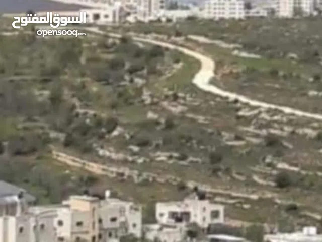 ارض مميزه للبيع