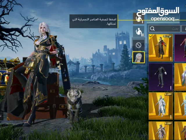 Pubg Accounts and Characters for Sale in Irbid