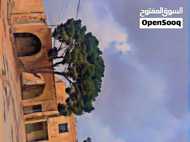 مطلوب شقا بي التقصيط