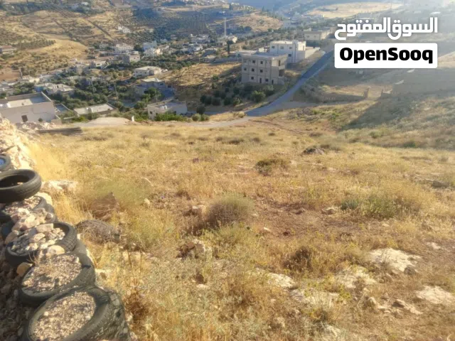 Mixed Use Land for Sale in Zarqa Um Rummanah
