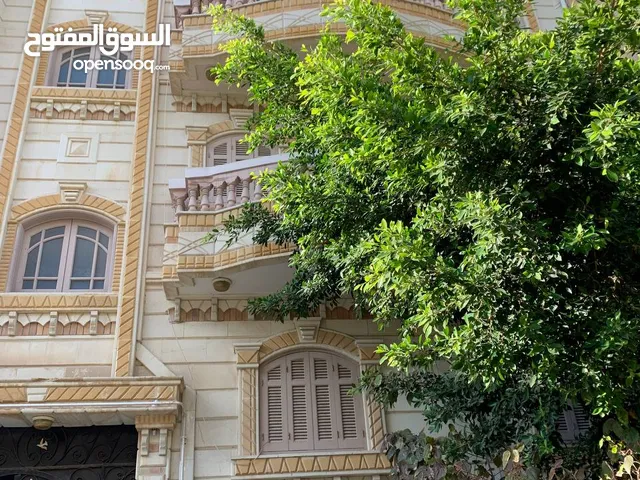 شقتين للبيع بموقع مميز جدًا في المجاورة الثانية – الحي الثاني – دمياط الجديدة