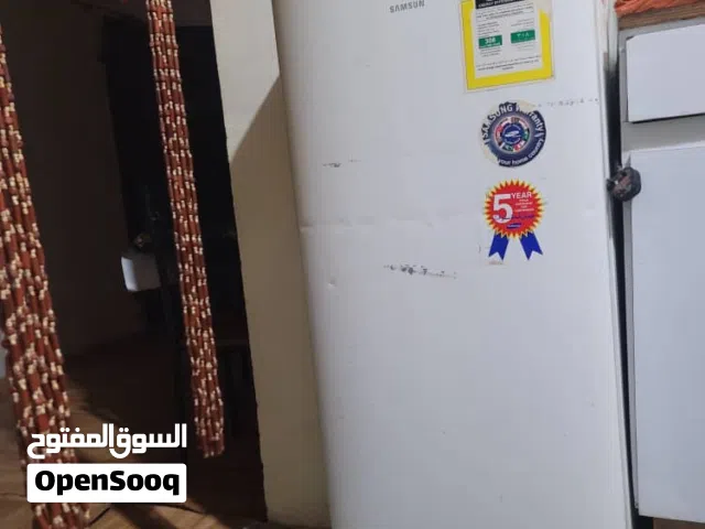 ثلاجة سامسونج RA19PTSW