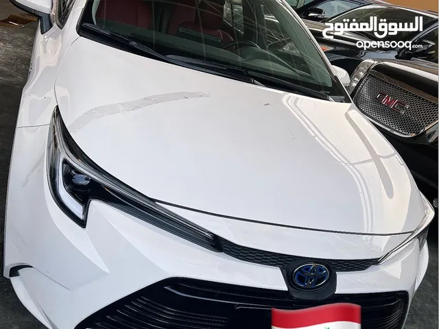 New Toyota Corolla in Baghdad