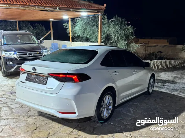 Used Toyota Corolla in Amman