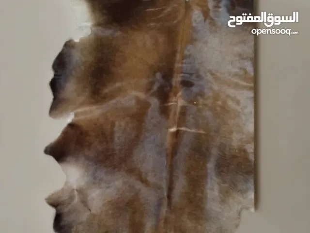 سجاد جلد البقر الفريد من نوعه - الجمال والجودة في كل خطوة!