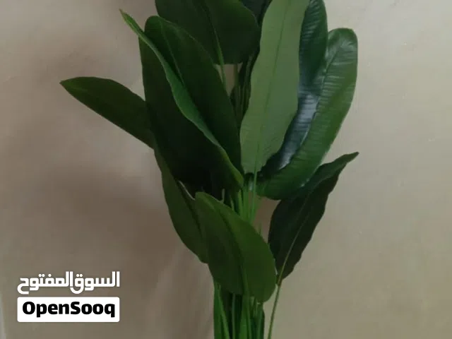 شجرة موز صناعي