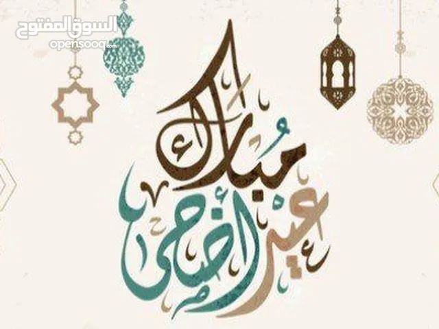 مدرس خاص لغة انجليزية وماث وعلوم لسنوات الابتدائي بمنطقة زيزينيا
