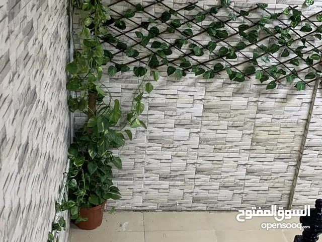 70 m2 1 Bedroom Apartments for Rent in Kuwait City Kaifan