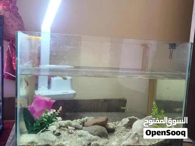30ltr aquarium