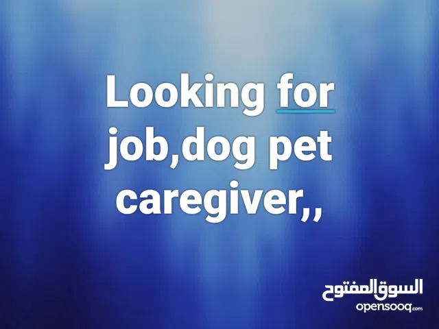 pet caregiver