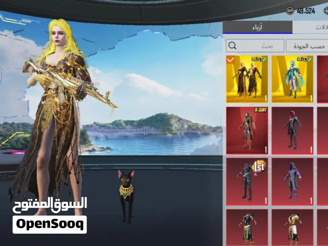 حساب ببجي لبيع
