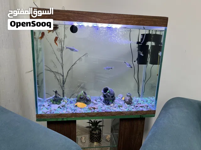 حوض سمك مع طاولة قاعدة عرض 70 سم مع فلتر واحجار وصدف