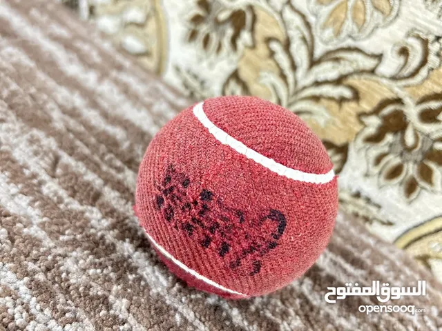 كرة للرياضة