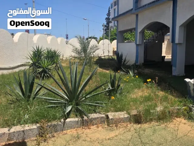 مبني تجاري لي ايجار موقع ممتاز