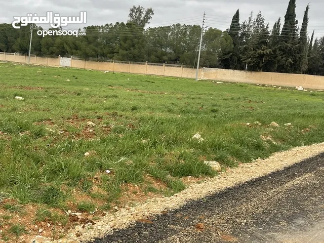 Farm Land for Sale in Amman Al Yadudah